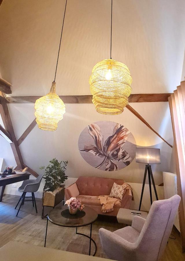 Remise 67 - Historisches Anwesen Beim Maison 1775, Mit Sauna, Wissembourg, Elsass Ingolsheim Esterno foto